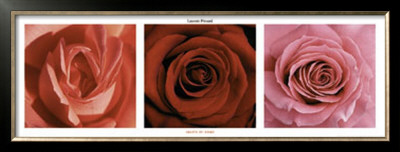 Hearts Of Roses by Laurent Pinsard Pricing Limited Edition Print image