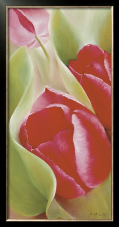 Tulips I by Annette Schmucker Pricing Limited Edition Print image