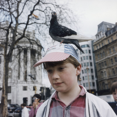 Young Boy With A Pigeon On His Hat, Trafalgar Square by Shirley Baker Pricing Limited Edition Print image