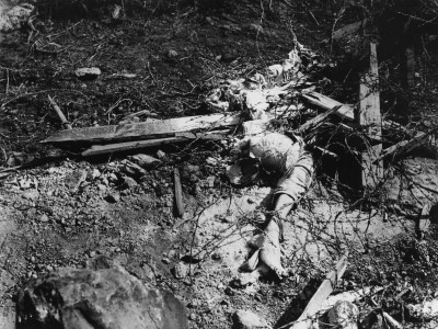 Dead Turkish Soldier Entangled In Barbed Wire At Gallipoli During World War I by Robert Hunt Pricing Limited Edition Print image