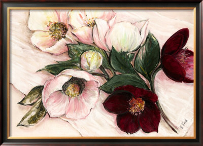 Elegant Anemones by Elisabeth Krobs Pricing Limited Edition Print image