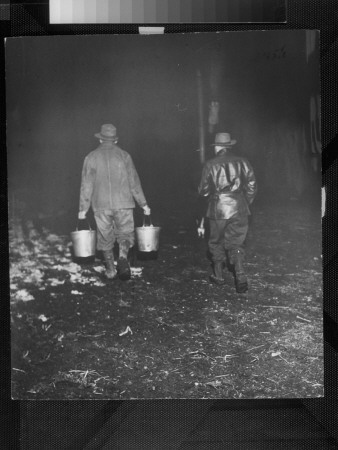 Efficiency Expert Ralph Hitz Observing Farmer Alva Wood Carrying Milk From The Dairy To The Barn by Wallace Kirkland Pricing Limited Edition Print image