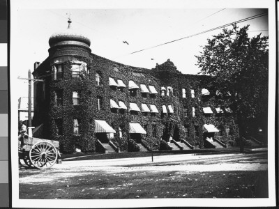 Row Of Connected Brownstone Houses With Awnings, Covered By Thick Ivy In Bridgeport, Connecticut by Wallace G. Levison Pricing Limited Edition Print image