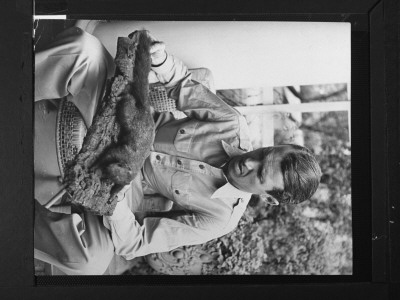 Jimmy Stewart At Home, Returned From Wwii, Holding A Stuffed Squirrel That He'd Shot Years Earlier by Peter Stackpole Pricing Limited Edition Print image