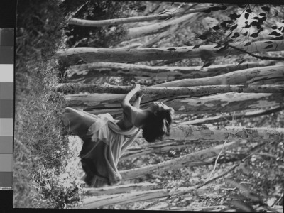 Actress Pier Angeli In Strapless Party Dress, Clutching The Trunk Of A Slender Eucalyptus Tree by Allan Grant Pricing Limited Edition Print image