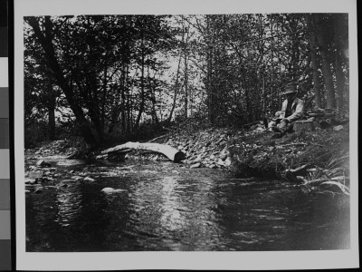 A Man Sitting And Reading During A Break From Fishing By A Stream In The Woods by Wallace G. Levison Pricing Limited Edition Print image