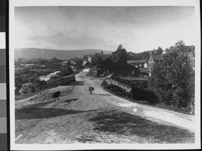 Farm Animals On A Country Road With Barns And A River In Background by Wallace G. Levison Pricing Limited Edition Print image