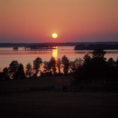 Reflection Of The Sun In A River At Sunset by Ove Eriksson Pricing Limited Edition Print image