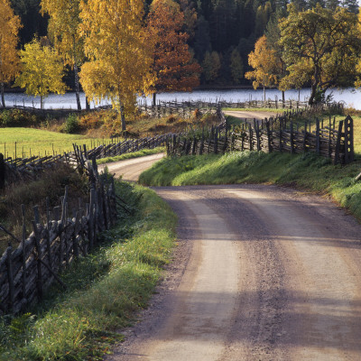 Meandering Country Road, Smaland, Sweden by Ove Eriksson Pricing Limited Edition Print image