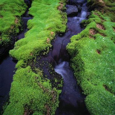 A Creek Surrounded With Green Moss, Iceland by Throstur Thordarson Pricing Limited Edition Print image