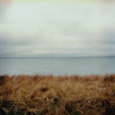 Grassy Seaside by Signe Vad Pricing Limited Edition Print image