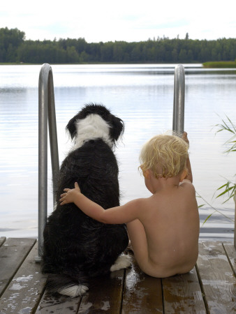 Rear View Of A Child Sitting With A Dog On A Pier, Sweden by Berndt-Joel Gunnarsson Pricing Limited Edition Print image