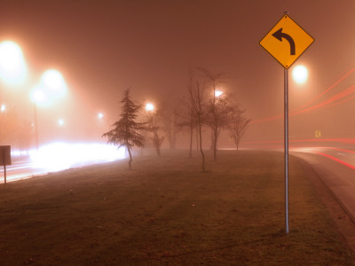 Tail Lights, Sign, And Trees In The Fog by David Elton Pricing Limited Edition Print image