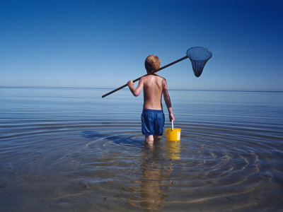 A Boy Standing In The Sea With A Bucket And A Pocket Net by Helena Bergengren Pricing Limited Edition Print image