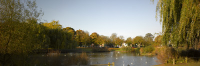 Ham Pond, Ham Common, Ham, London by Richard Bryant Pricing Limited Edition Print image