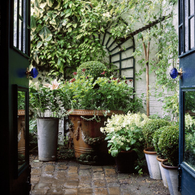 Small Town Garden: View Through Backdoor French Windows Into Secluded Brick Courtyard Area by Clive Nichols Pricing Limited Edition Print image
