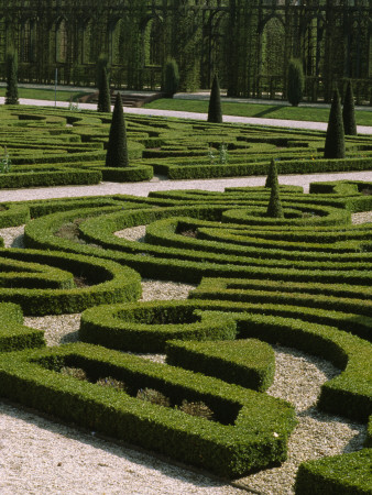 Box Maze In The Queen's Garden At Het Loo, Holland by Clive Nichols Pricing Limited Edition Print image