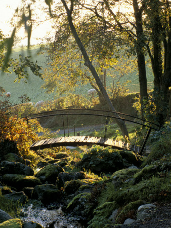 Dawn Light Illuminates The Stream And Bridge At Dolwen Garden, Powys, Wales by Clive Nichols Pricing Limited Edition Print image