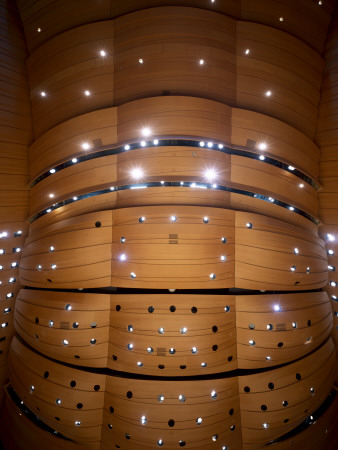 Walt Disney Concert Hall, Downtown Los Angeles - Main Hall Ceiling, Architect: Gehry Partners by John Edward Linden Pricing Limited Edition Print image