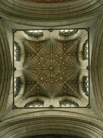 The Tower Ceiling, Peterborough Cathedral, England by Martine Hamilton Knight Pricing Limited Edition Print image