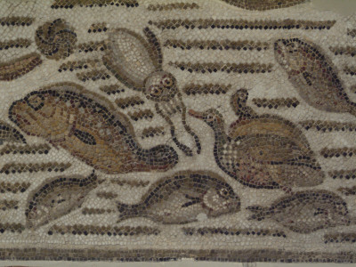 Fish Detail, Roman Mosaic, Bardo Museum, Tunisia by Natalie Tepper Pricing Limited Edition Print image
