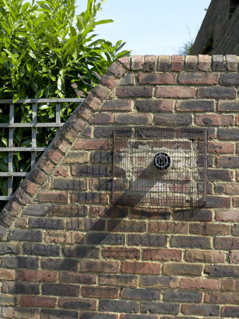 Housing, Weybridge, Surrey, Extractor On Dark Brick Wall by Tim Mitchell Pricing Limited Edition Print image