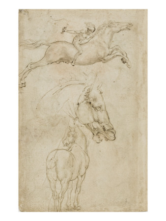 Tete De Cheval, Vue De La Croupe D'un Cheval by Leonard De Vinci Pricing Limited Edition Print image