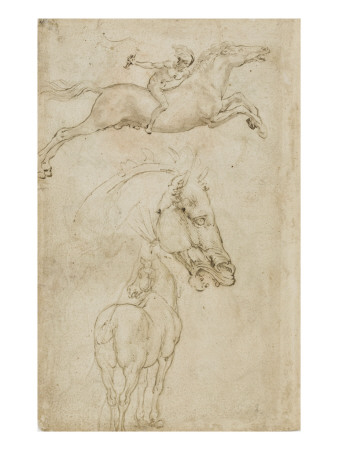 Tête De Cheval, Vue De La Croupe D'un Cheval by Léonard De Vinci Pricing Limited Edition Print image