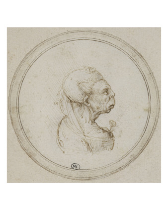 Vieille Femme À Profil Simiesque, Caricature by Léonard De Vinci Pricing Limited Edition Print image