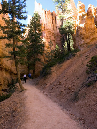 Hikers In Bryce Amphitheater, Bryce Canyon National Park, Utah, Usa by Michael Defreitas Pricing Limited Edition Print image