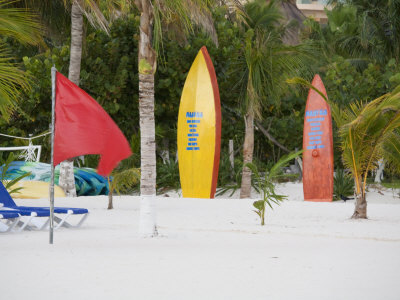 Surfboards On The Beach, Cancun, Quintana Roo, Mexico by Julie Eggers Pricing Limited Edition Print image