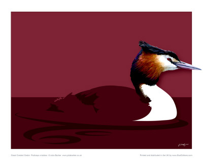 Great Crested Grebe by Julia Barber Pricing Limited Edition Print image