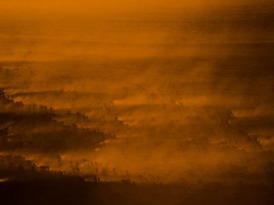 Herd Of Burchell's Zebras Raising Dust Clouds At Twilight by Beverly Joubert Pricing Limited Edition Print image