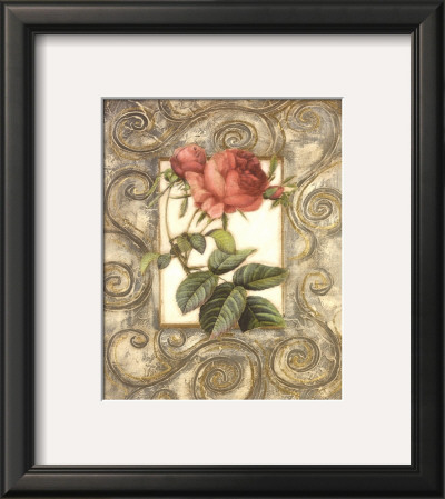 Red Botanical Iv by Nancy O'connor Pricing Limited Edition Print image