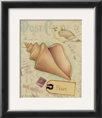 Postcard Shells Iii by Nancy Shumaker Pallan Pricing Limited Edition Print image