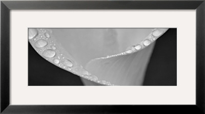 Spring Dew by Dennis Frates Pricing Limited Edition Print image