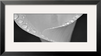 Spring Dew by Dennis Frates Pricing Limited Edition Print image