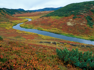 The Upper Shumnaya River Starts In The Caldera Of The Uzon Volcano, Russia by Igor Shpilenok Pricing Limited Edition Print image