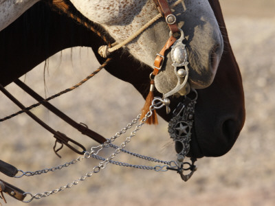 Fancy Silver Bits On Horses Of Cowboys, Flitner Ranch, Shell, Wyoming, Usa by Carol Walker Pricing Limited Edition Print image