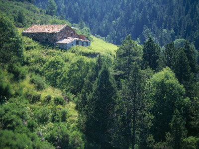 Old Farmhouse On Steep Hillside In Tregura, Ripolles, Catalonia. Pyrenees, Spain by Inaki Relanzon Pricing Limited Edition Print image
