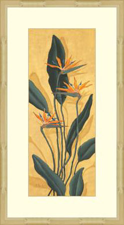 Bird Of Paradise by Paul Brent Pricing Limited Edition Print image