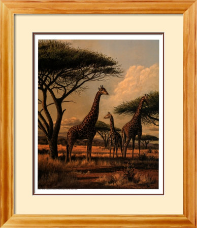 Giraffe Family by Clive Kay Pricing Limited Edition Print image