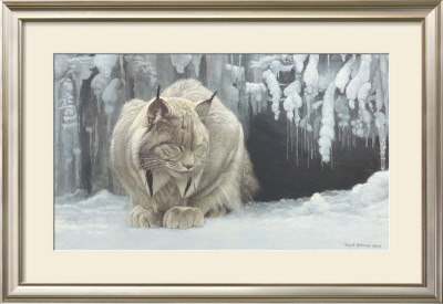 Dozing Lynx by Robert Bateman Pricing Limited Edition Print image