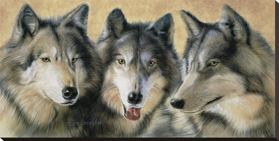 Tres Lobos Limited Edition Print by Dave Merrick Pricing Secondary Market  Art Appraisal