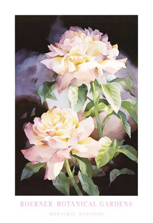 Summer Roses by Jean Crane Pricing Limited Edition Print image