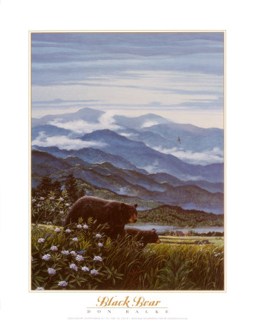 Black Bear by Don Balke Pricing Limited Edition Print image