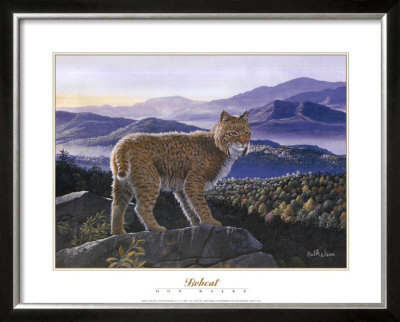 Bobcat by Don Balke Pricing Limited Edition Print image