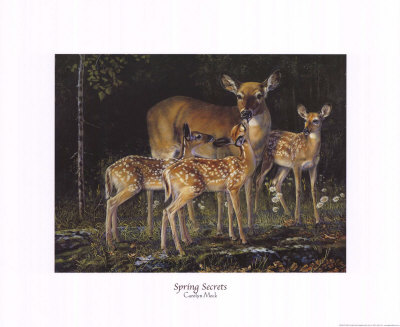 Spring Secrets by Carolyn Mock Pricing Limited Edition Print image