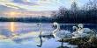 Daybreak by Darrell Bush Limited Edition Print