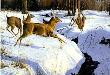 Whitetails In Retreat by Jack Paluh Limited Edition Print